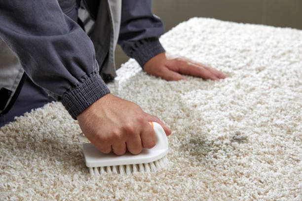 How Professional Carpet Cleaning Extends Carpet Life How Professional Carpet Cleaning Extends Carpet Life
